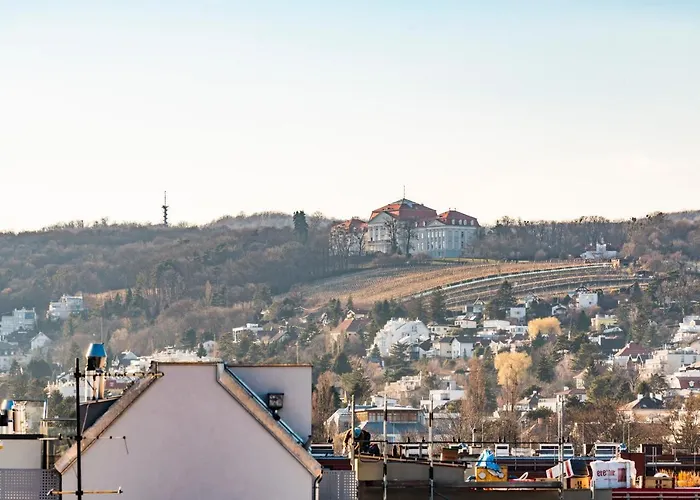 Rooftop Mit Grosser Terrasse